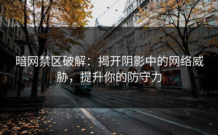 暗网禁区破解：揭开阴影中的网络威胁，提升你的防守力