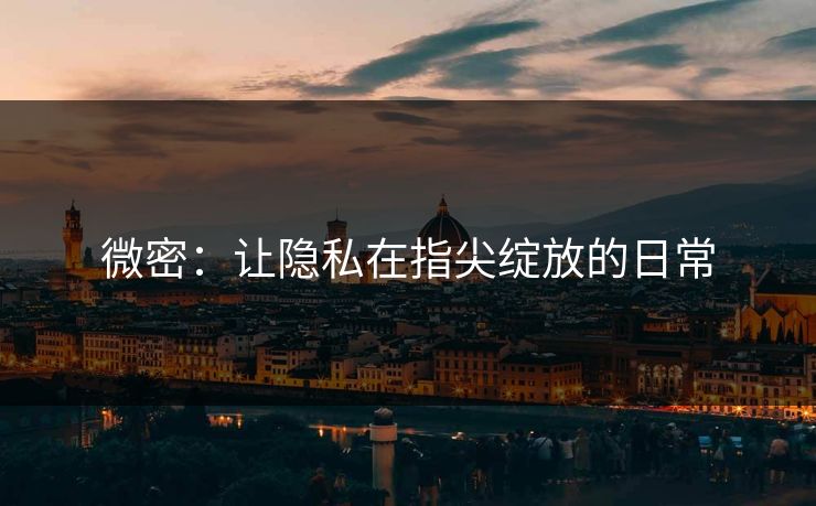 微密:让隐私在指尖绽放的日常 微密:让隐私在指尖绽放的日常