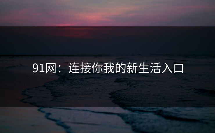 91网：连接你我的新生活入口